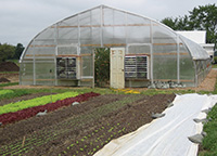 Ben's Greenhouse